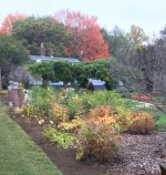 Native Plants in the Garden at Glen Magna