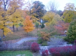 Zoom Program:  The Nature Of Fall with the Mass Audubon