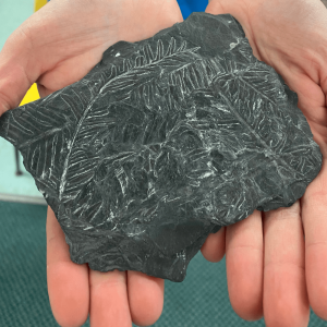 Earth Rocks! With the Children's Museum and Theatre of Maine