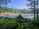 East Richardson Preserve