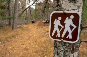 Open Space Hike - Yapp Farm image