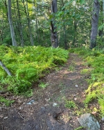 Yapp Farm trail