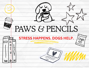 Teen Paws & Pencils image