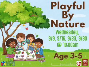Playful by Nature image