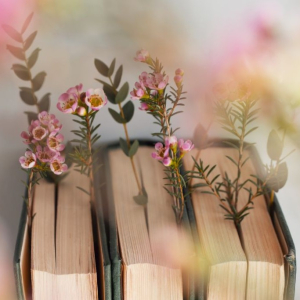 Write Your Own Fairytale Workshop image