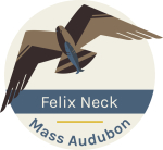 felix neck square