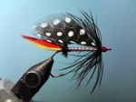 Fly ClassicTriumphBass