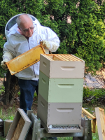 Beekeeping