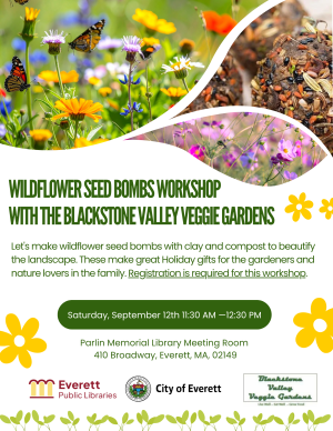 Wildflower Seed Bombs Workshop with the Blackstone Valley Veggie Gardens image