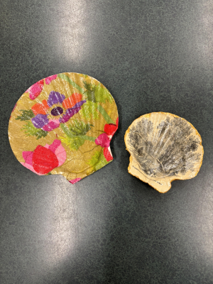 Shell Decoupage image