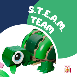 STEAM Team: LEGO Kit image