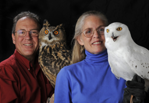 Owls Up Close (Ages 10+) image
