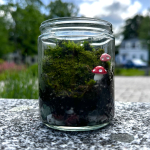 Small glass jar filled with rocks, moss, and small decorative mushrooms.