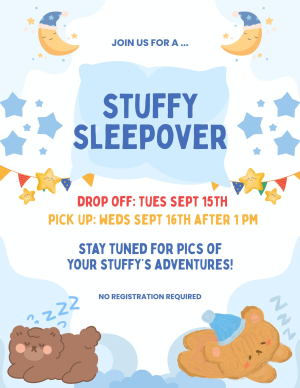 Stuffy Sleepover image