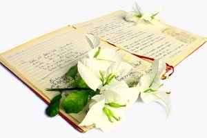 Reading Poetry Anew image