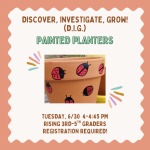 Painted planters