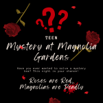 Teen Mystery Box Solve Night