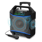 Party Speaker + Mic