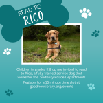 Read to Rico Summer 2026