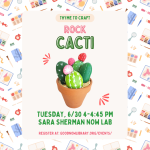 Rock Cacti in Small Pots