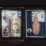 Assemblage Art: Specimen Shadowboxes with Julie Harrold
