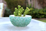 Tween Craft: Sea Glass Succulents (Ages 9-15)