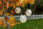Adult Take-Home Craft Kit - Pressed Flower Lanterns