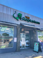 reptarium