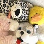 KIDS: Stuffed Animal Sleepover Drop-Off (ages 0-17)