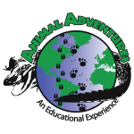 Animal Adventures