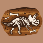Fossil