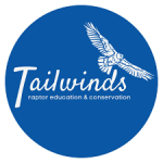 Tailwinds: Raptor Education & Conservation