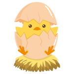 Chicken Egg