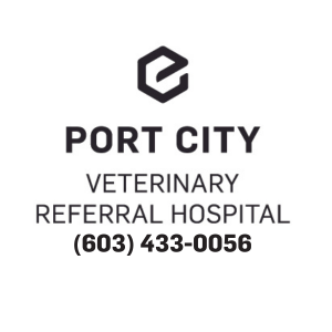 Pet First Aid with Port City Vet Referral Hospital