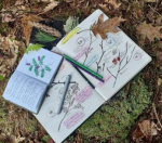 Journal open with drawings of plants
