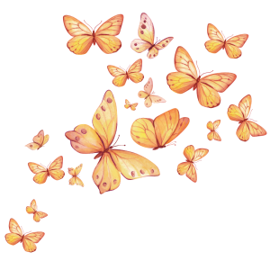 Discover Our Local Butterflies! image