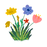 flowers