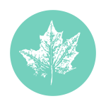 Leaf print