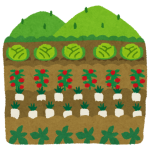 vegetable garden