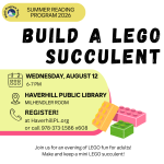 Build a LEGO Succulent flyer.