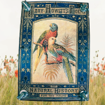 Picture of a compled flower press.