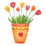 Perfect Plants