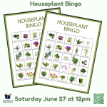 pale green background with 2 Houseplant Bingo cards in the center surrounded by hanging houseplants