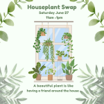 pale green background with a drawing of a window filled with hanging houseplants