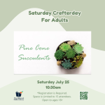 white background with the wine Pine COne Succulents in an earthy green font color ... to the right o