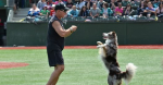 Dog and Trainer