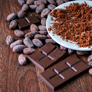 Massachusetts Chocolate History and Chocolate Sampling with Cocoa Beantown image