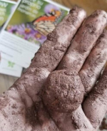 Seed Balls