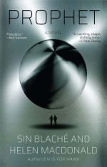 Silver-looking book cover with two black silhouettes in the shadow of a mysterious dark orb.