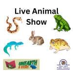 picture of reptiles